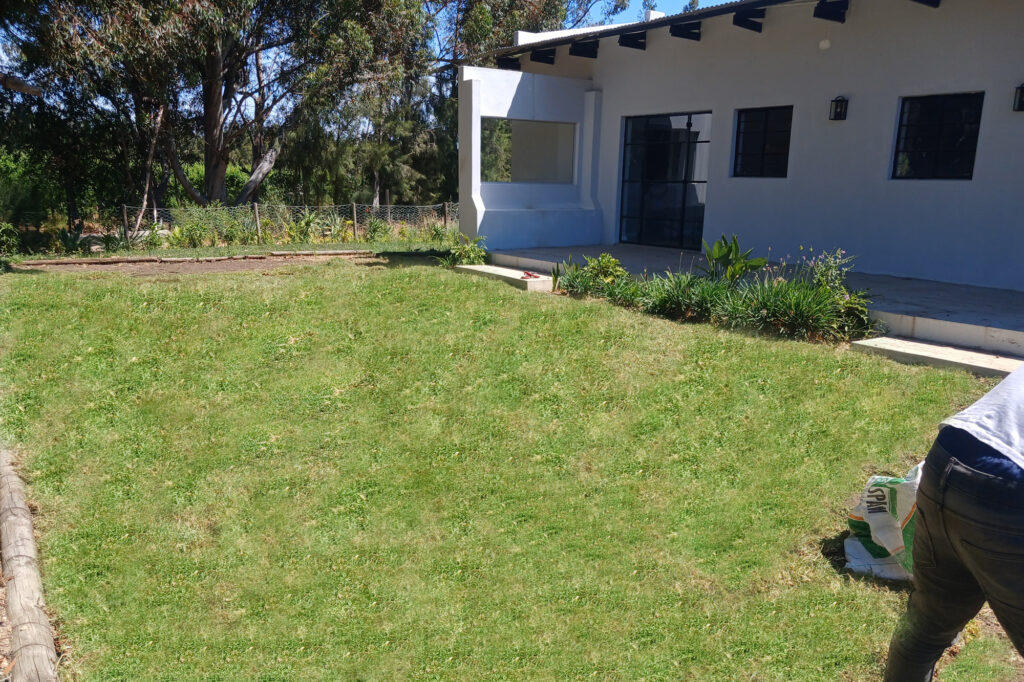 verdant landscapers after 1