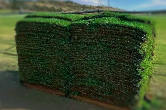 verdant landscapers roll on 1