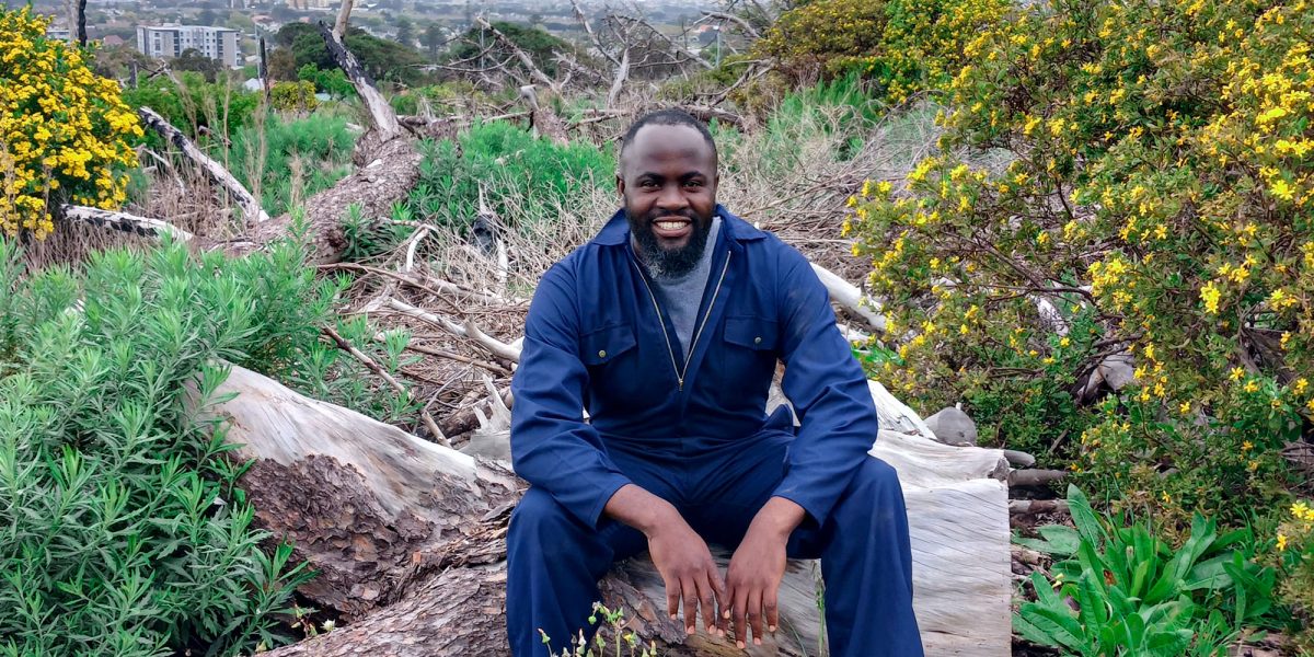 verdant landscapers don 1